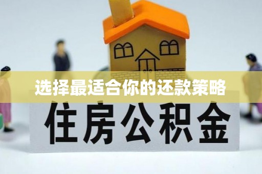 渝水选择最适合你的还款策略
